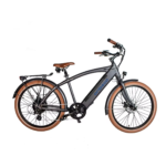 Prince PA7 ARIBECA City E-bikes
