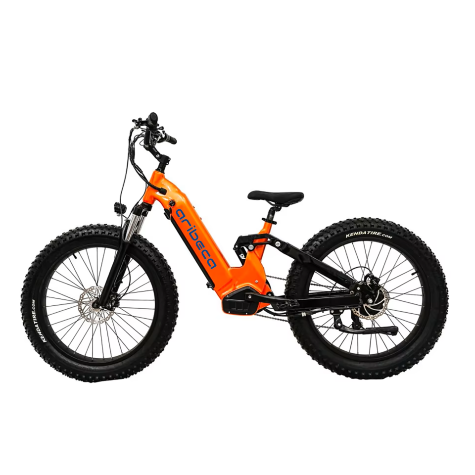 aribeca004
