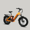 aribeca011