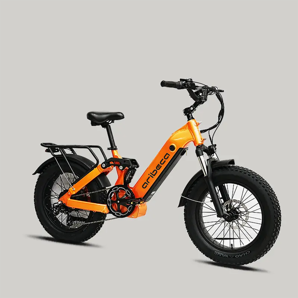 aribeca011